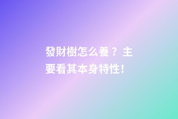 發財樹怎么養？主要看其本身特性！